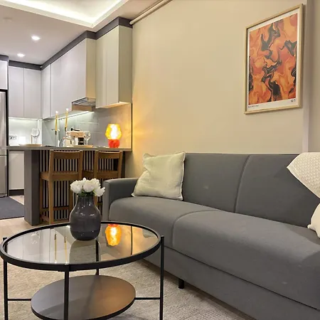 Sisli Gem Modern 1br With Ac * Estambul
