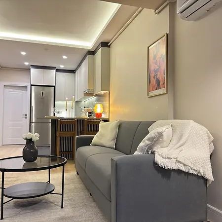 Lejlighed Sisli Gem - Modern 1br With Ac *